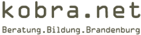 Logo kobra.net